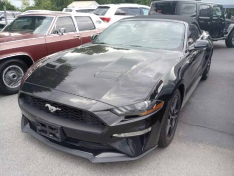 2021 Ford Mustang for sale at Tri City Auto Mart in Lexington KY