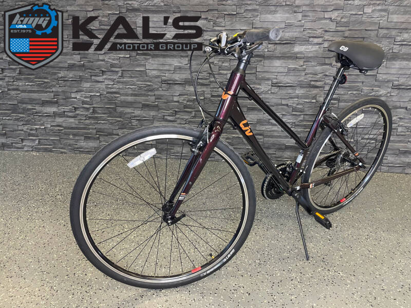 2022 Liv Ladies Med Frame for sale at Kal's Motorsports - E-Bikes in Wadena MN