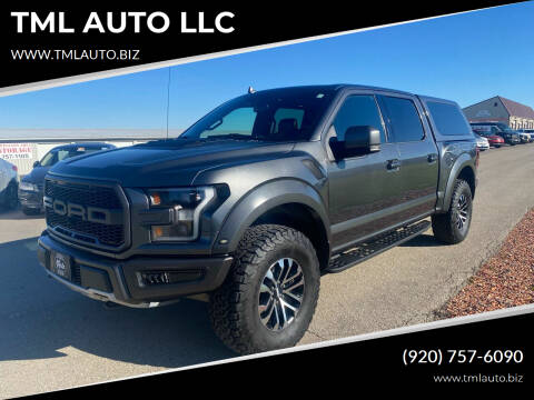 2019 Ford F-150 for sale at TML AUTO LLC in Appleton WI