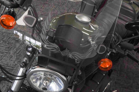 2021 Harley-Davidson Iron 883
