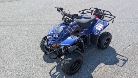 2025 TrailMaster Mini 110 Sport