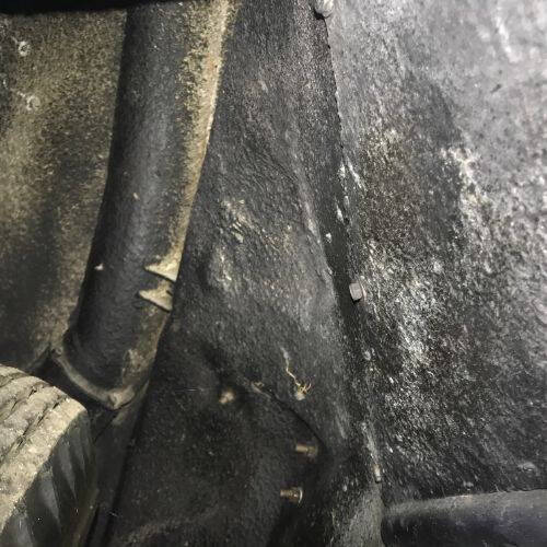 1955 Ford Thunderbird