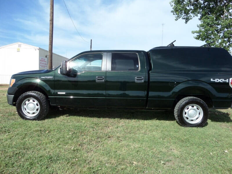 2014 Ford F-150 for sale at AUTO FLEET REMARKETING, INC. in Van Alstyne TX