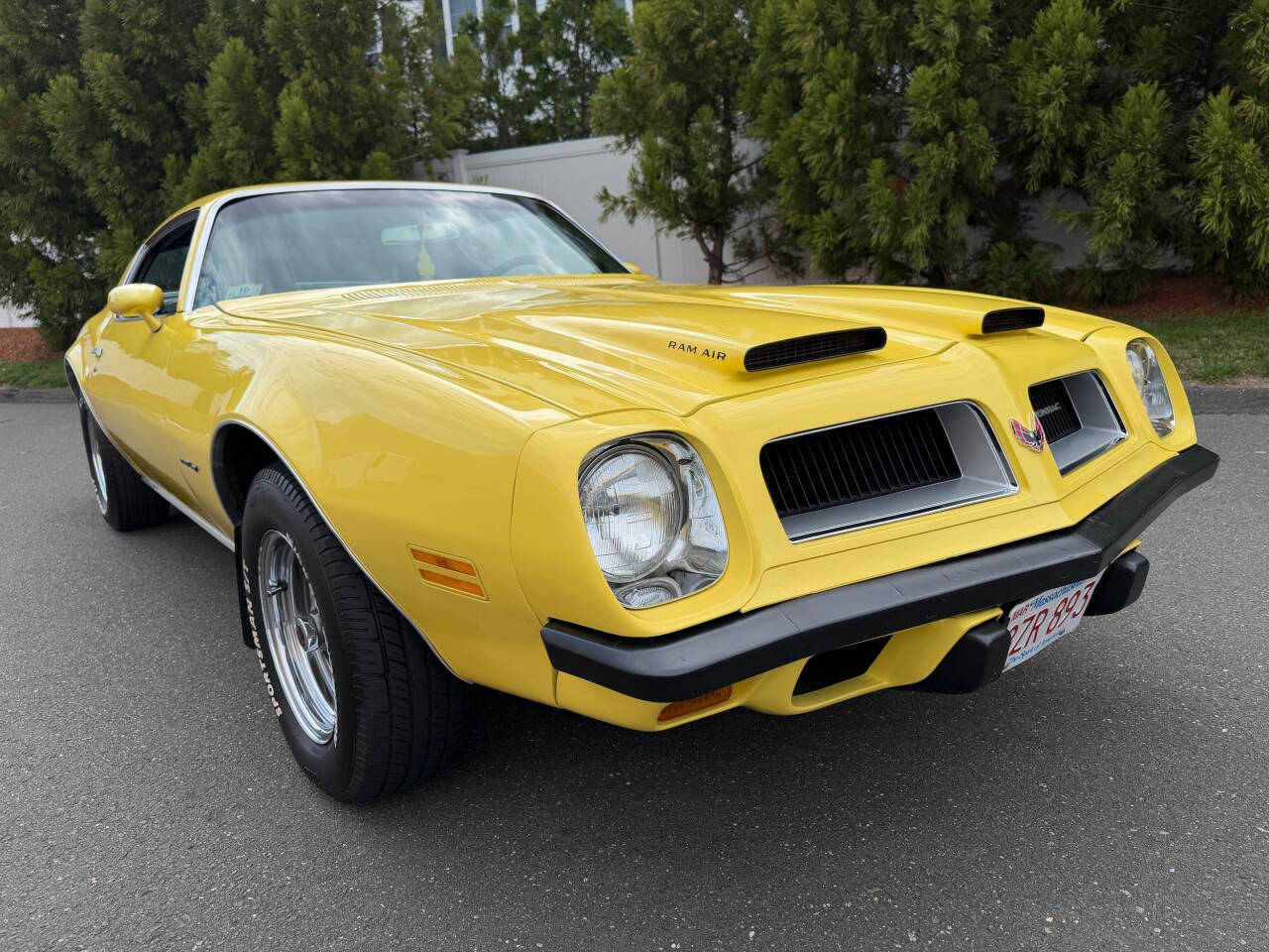 1974 Pontiac Firebird 4