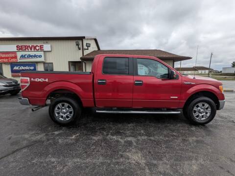 2011 Ford F-150 for sale at Pro Source Auto Sales in Otterbein IN