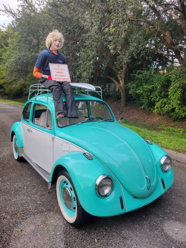1973 Volkswagen Beetle