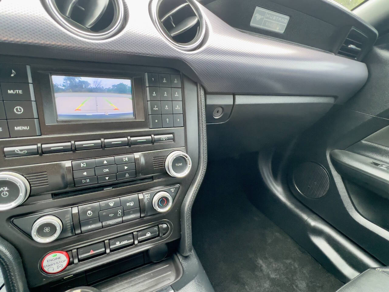 Used Car 2016 Ford Mustang  Gt 2dr Fastback For Sale Under $25,000 In Austin, Texas