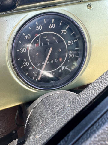 1973 Volkswagen Thing