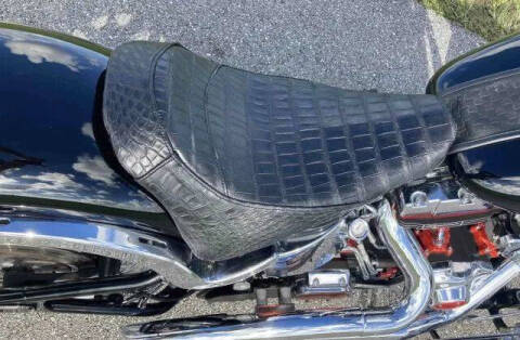 2002 Harley-Davidson FLSTS Heritage Springer