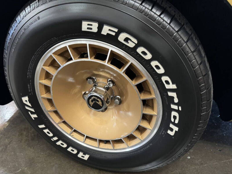 1981 Pontiac Firebird Trans Am