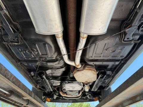 1981 Pontiac Firebird Trans Am