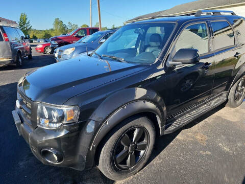 2009 Ford Escape for sale at CRYSTAL MOTORS SALES in Rome NY