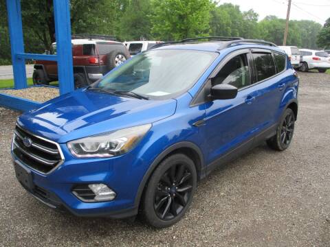 2017 Ford Escape for sale at PENDLETON PIKE AUTO SALES in Ingalls IN