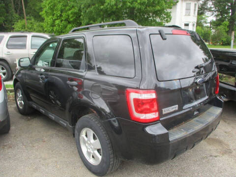 2011 Ford Escape XLT