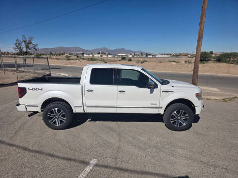 2013 Ford F-150 Platinum