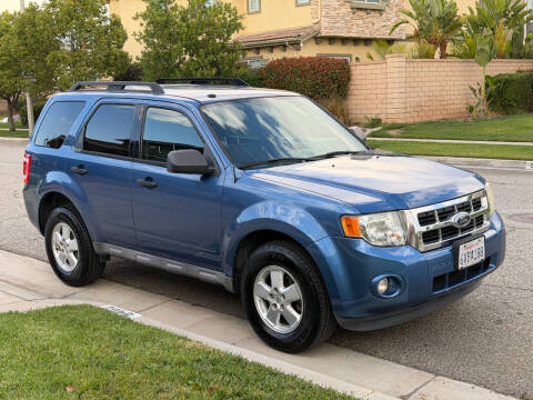 2010 Ford Escape XLT