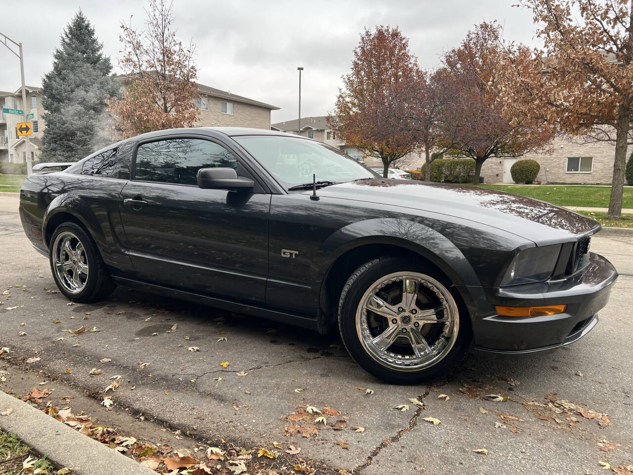 2008 Ford Mustang GT Deluxe 2dr Fastback's photo
