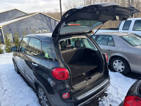 2014 FIAT 500L Trekking