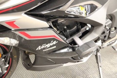 2024 Kawasaki Ninja 1000