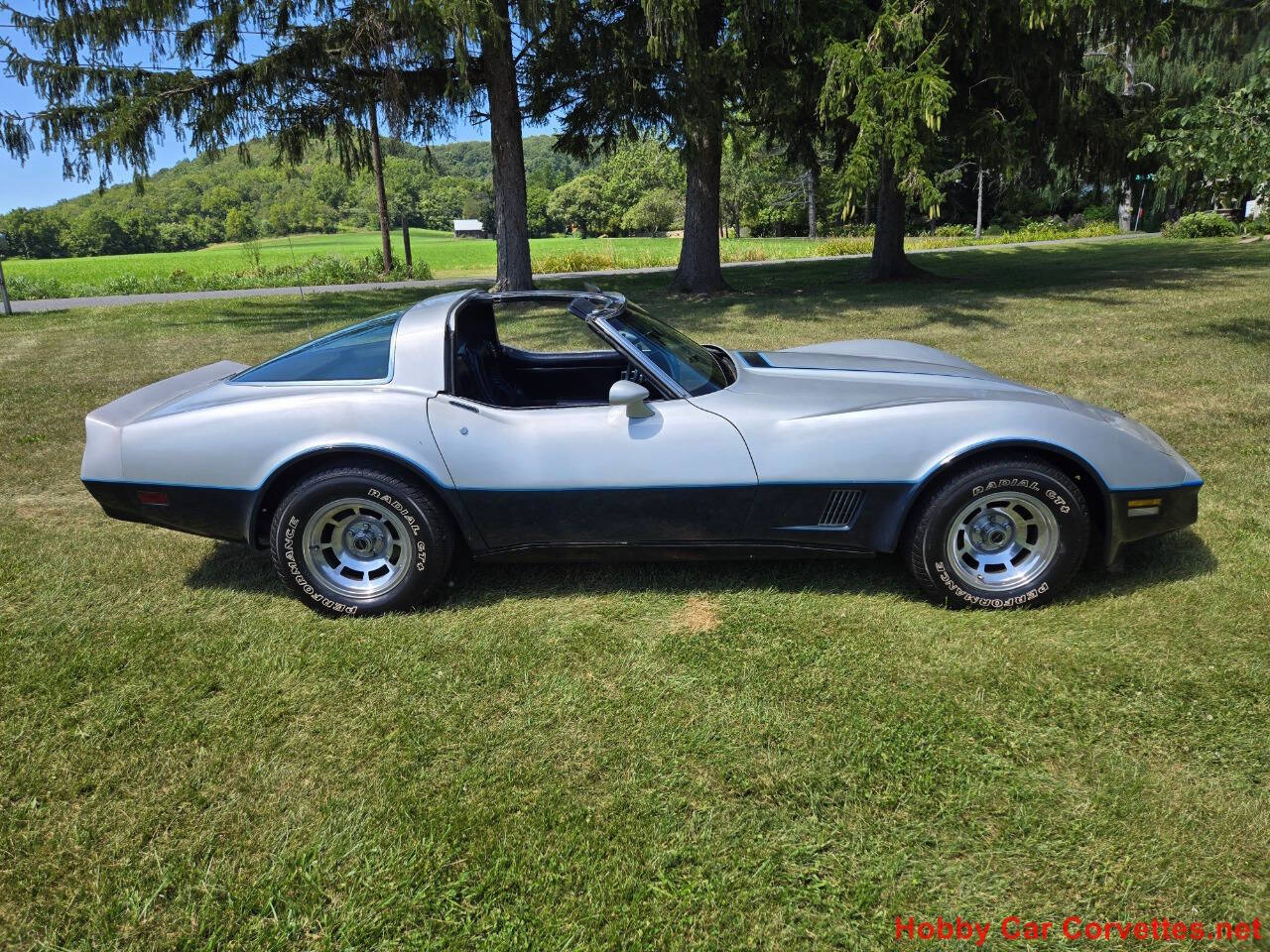 1981 Chevrolet Corvette 13