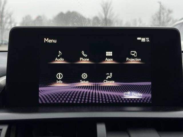 2021 Lexus NX 300 F SPORT