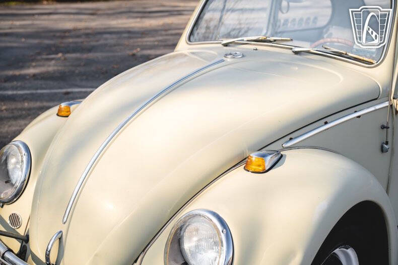 1965 Volkswagen Beetle