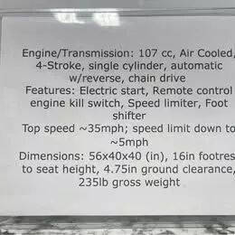 2025 TAO CHEETAH (G125)