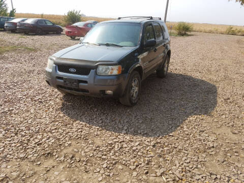 2003 Ford Escape for sale at B&M Auto Sales and Service LLP in Marion SD