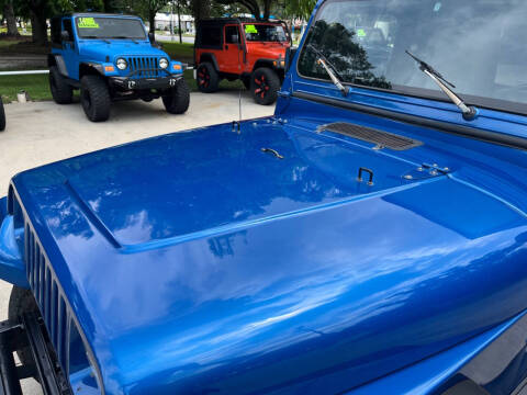 1991 Jeep Wrangler Islander