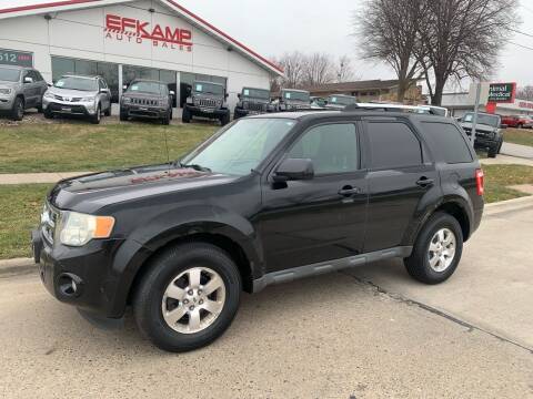2010 Ford Escape for sale at Efkamp Auto Sales LLC in Des Moines IA