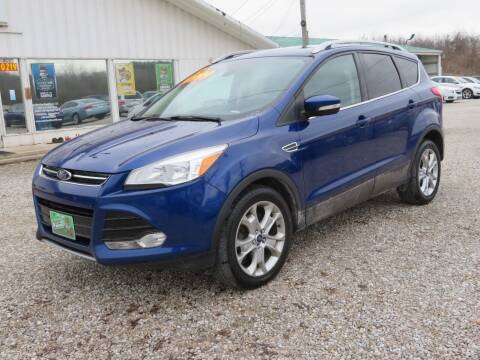 2015 Ford Escape for sale at Low Cost Cars in Circleville OH