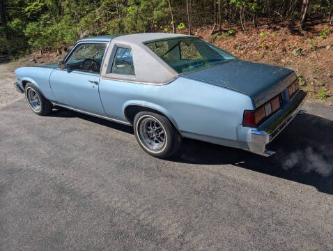 1979 Oldsmobile Omega
