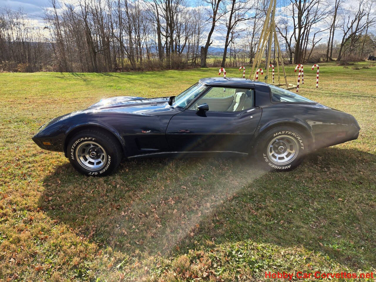 1979 Chevrolet Corvette 10