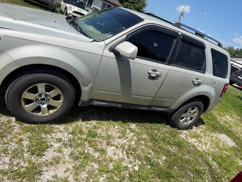 2009 Ford Escape Limited