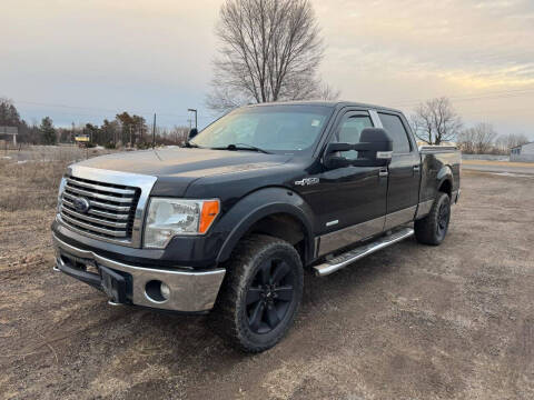 2012 Ford F-150 for sale at D & T AUTO INC in Columbus MN