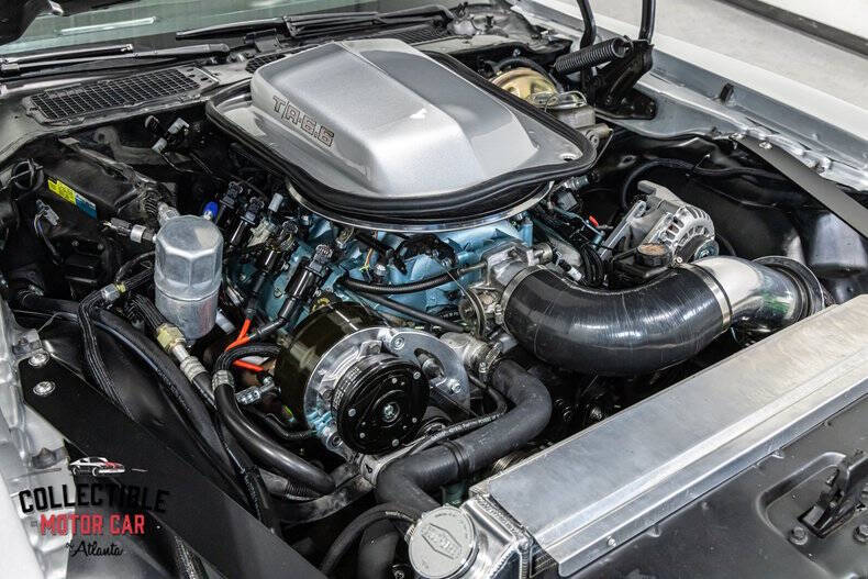 1981 Pontiac Firebird Trans Am