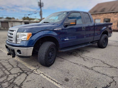 2011 Ford F-150 for sale at Jan Auto Sales LLC in Parsippany NJ