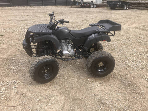 2016 Tao Tao Rhino 250