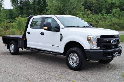 2019 Ford F-250 Super Duty for sale at KA Commercial Trucks, LLC in Dassel MN