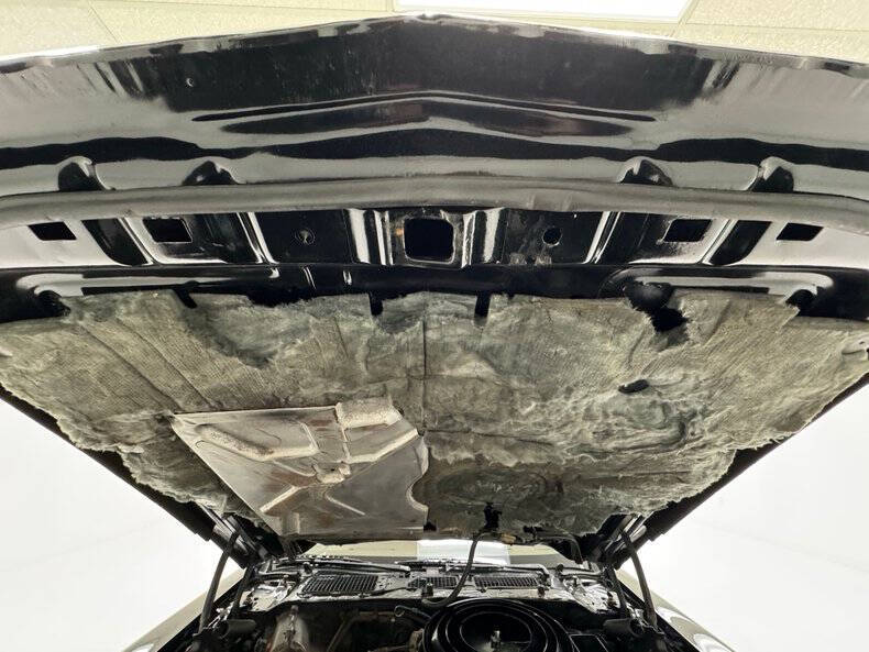 1981 Pontiac Firebird Trans Am