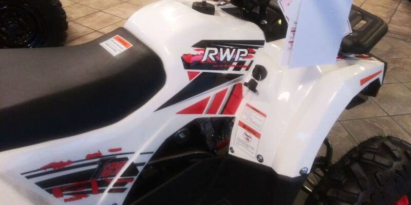 2020 Ace Powersports Inc T125