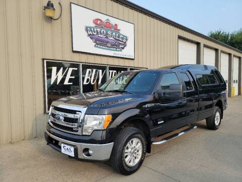 2013 Ford F-150 for sale at C&L Auto Sales in Vermillion SD