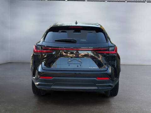 2023 Lexus NX 250