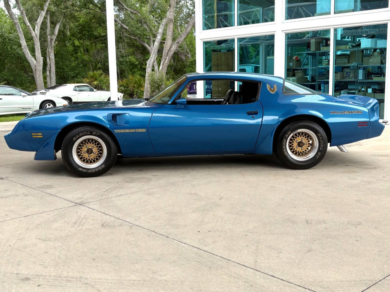 1979 Pontiac Firebird 10