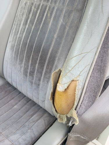 1983 Pontiac Firebird Trans Am