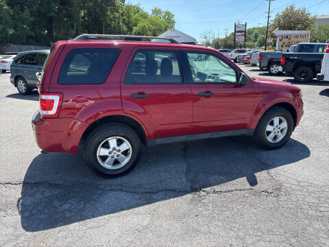 2010 Ford Escape XLT