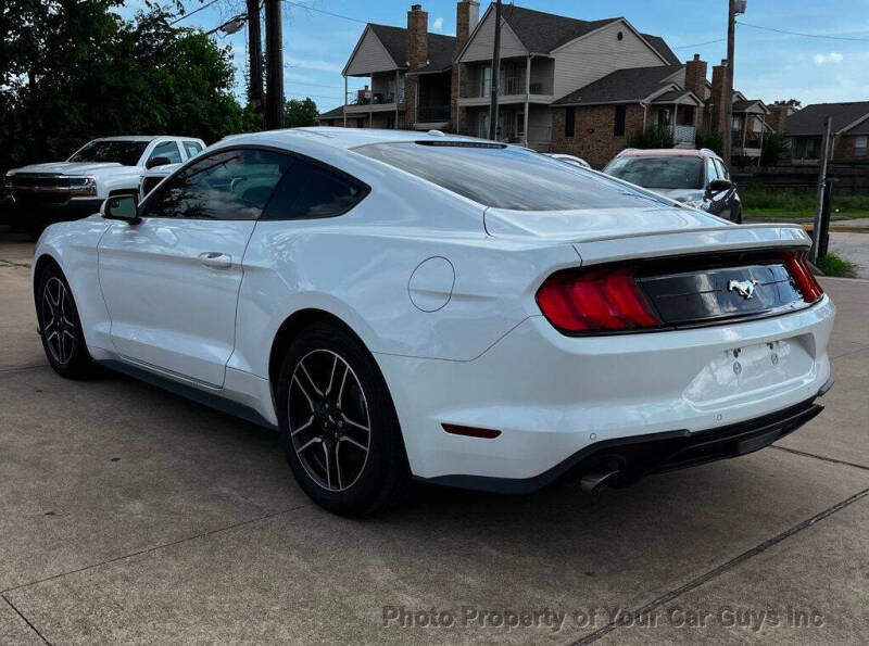 2019 Ford Mustang