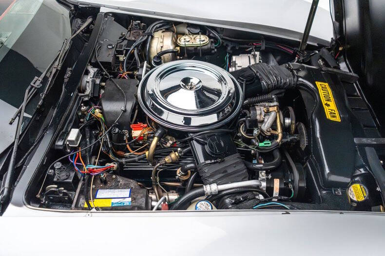 1981 Chevrolet Corvette