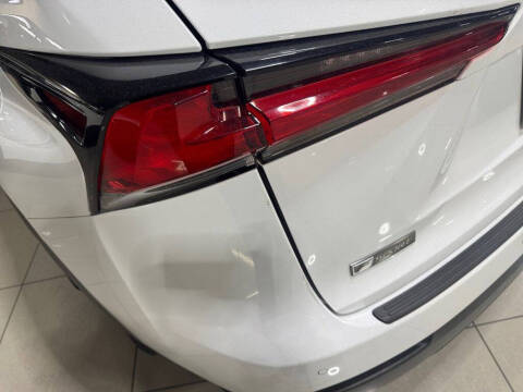 2019 Lexus NX 300 F SPORT