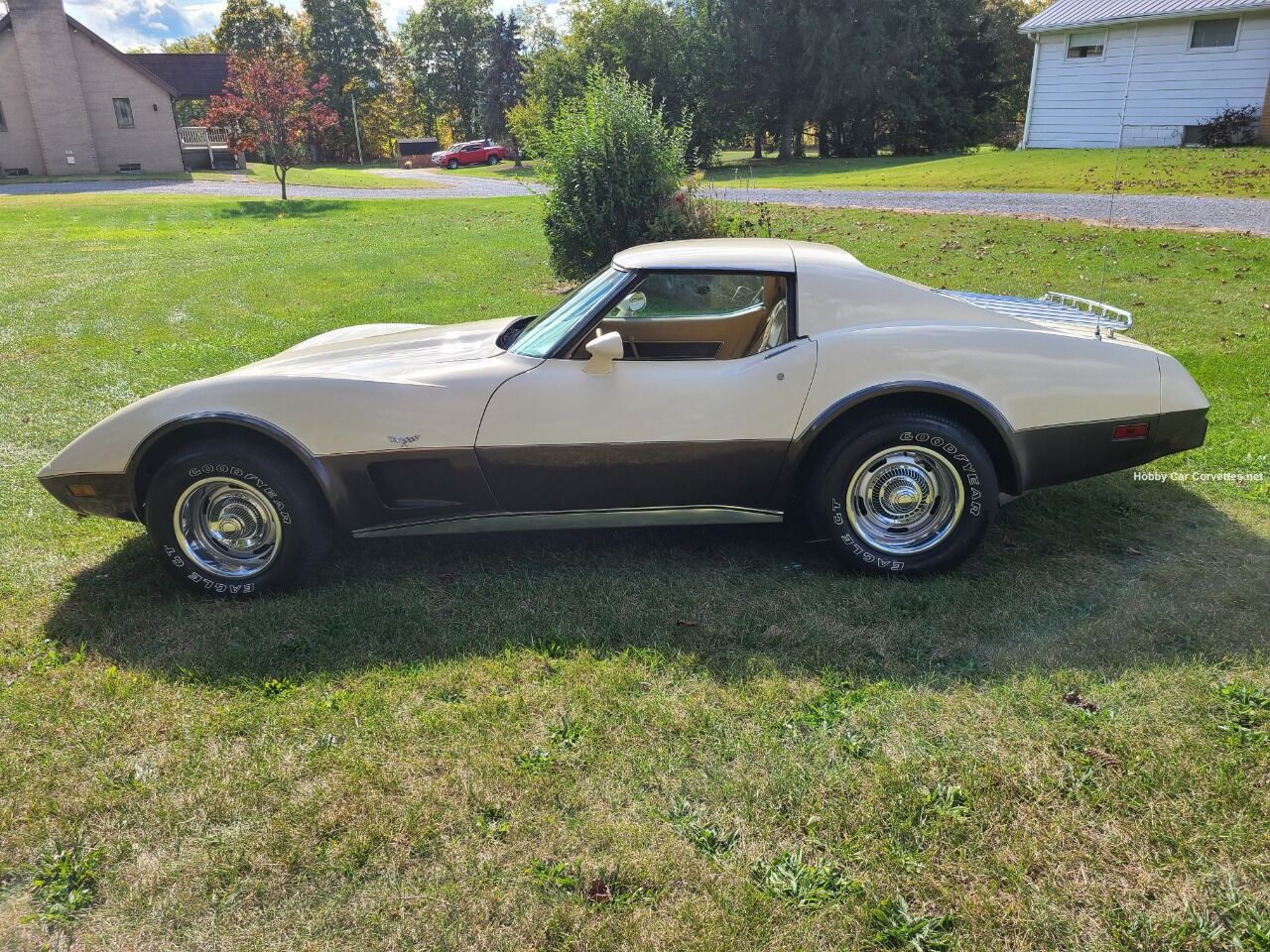 1977 Chevrolet Corvette 6